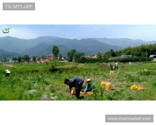 凯发线上登陆下载官方入口，支持多设备一键登录体验