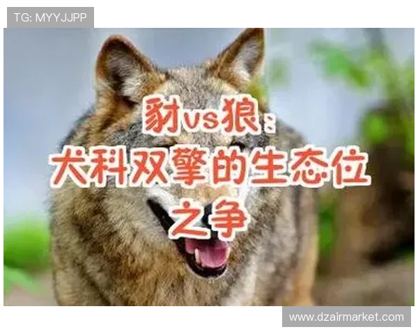 ag亚娱集团的合作伙伴关系与联盟策略对行业生态的积极推动作用 ag亚娱集团的合作伙伴关系与联盟策略对行业生态的积极推动作用